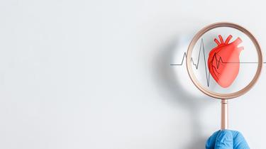 Τιμοκατάλογος