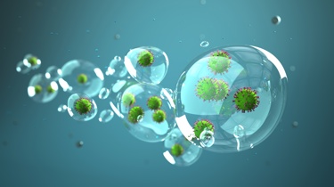 Κανονισμός Διαχείρισης Βιολογικού Κινδύνου